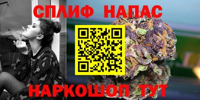 прущие крисы Будённовск