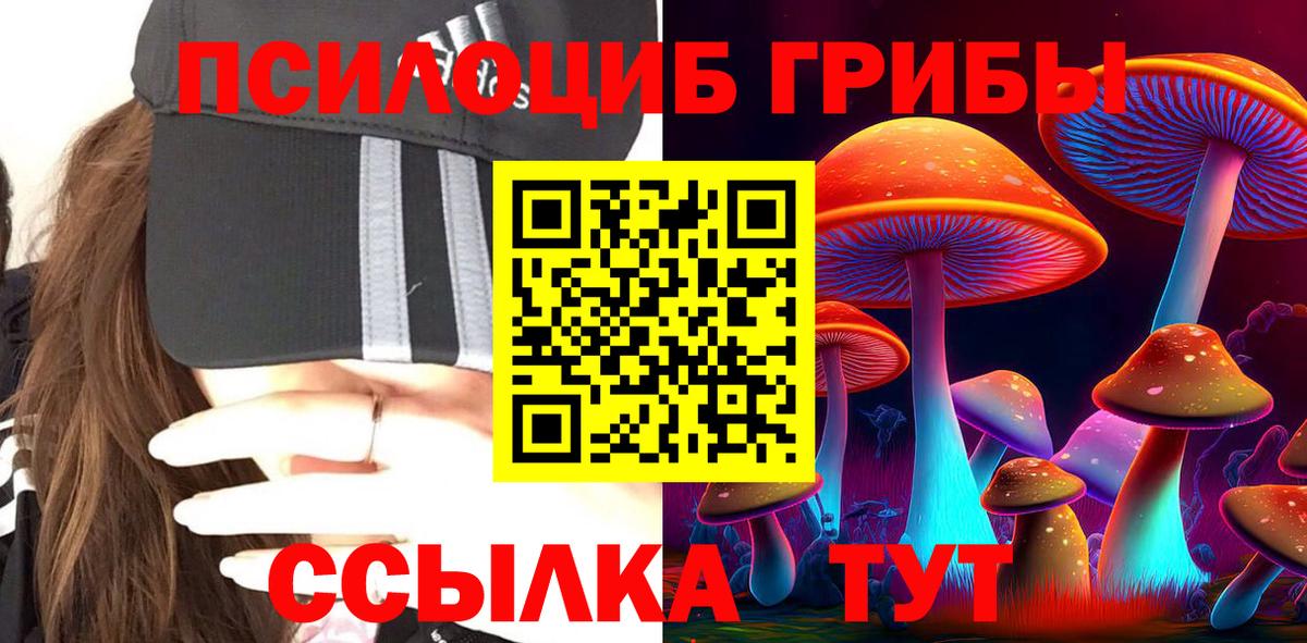Семёнов  Псилоцибиновые грибы Magic Shrooms  Псилоцибиновые грибы Psilocybine cubensis  Вход с VPN 