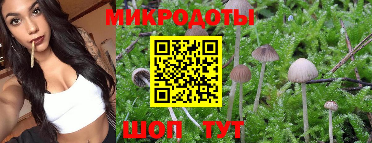 Псилоцибиновые грибы GOLDEN TEACHER Семёнов